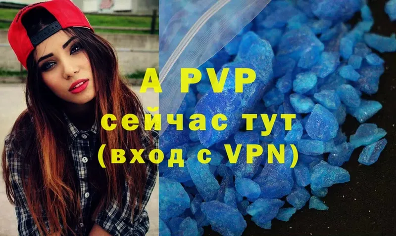 где купить наркотик  Шадринск  Alpha-PVP СК КРИС 