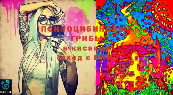 бошки Лиски