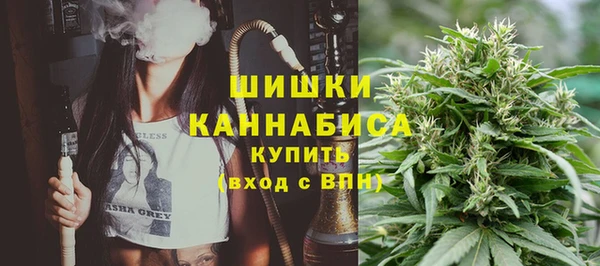 дурь Мегион
