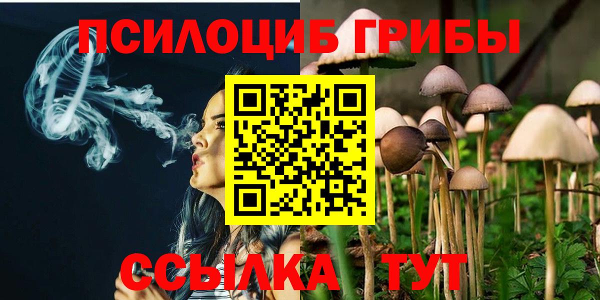 Шадринск  Псилоцибиновые грибы GOLDEN TEACHER  Вход с VPN 